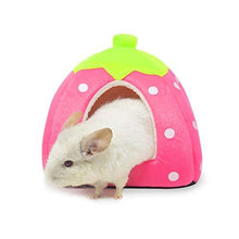 Load image into Gallery viewer, Spring Fever Small Big Animal Strawberry Guinea Pigs Rabbit Dog Cat Puppy Pet Fleece House Indoor Water Resistant Beds
